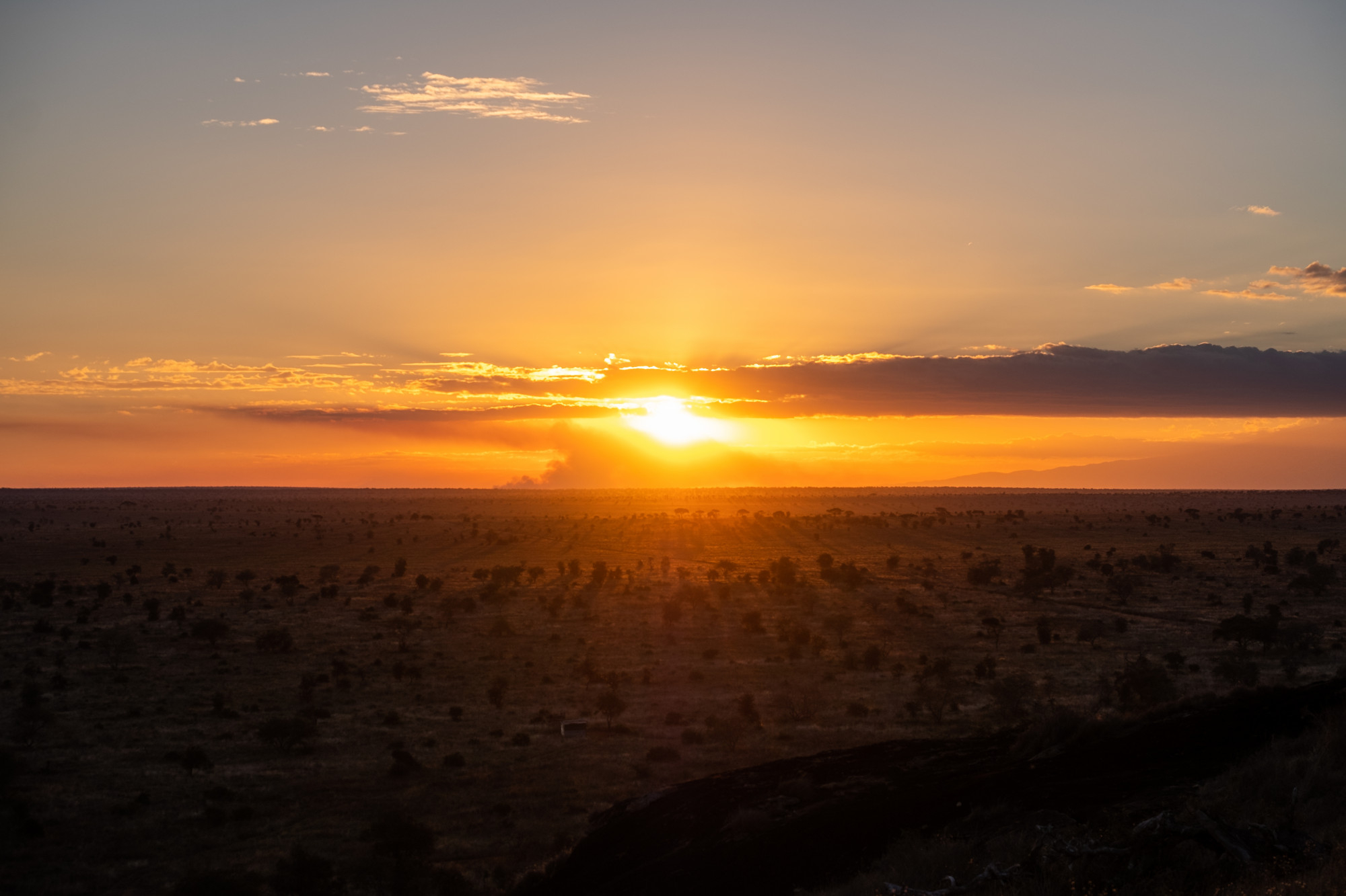 Discover the Magic of Gorilla Encounters in Rwanda’s Volcanoes National Park