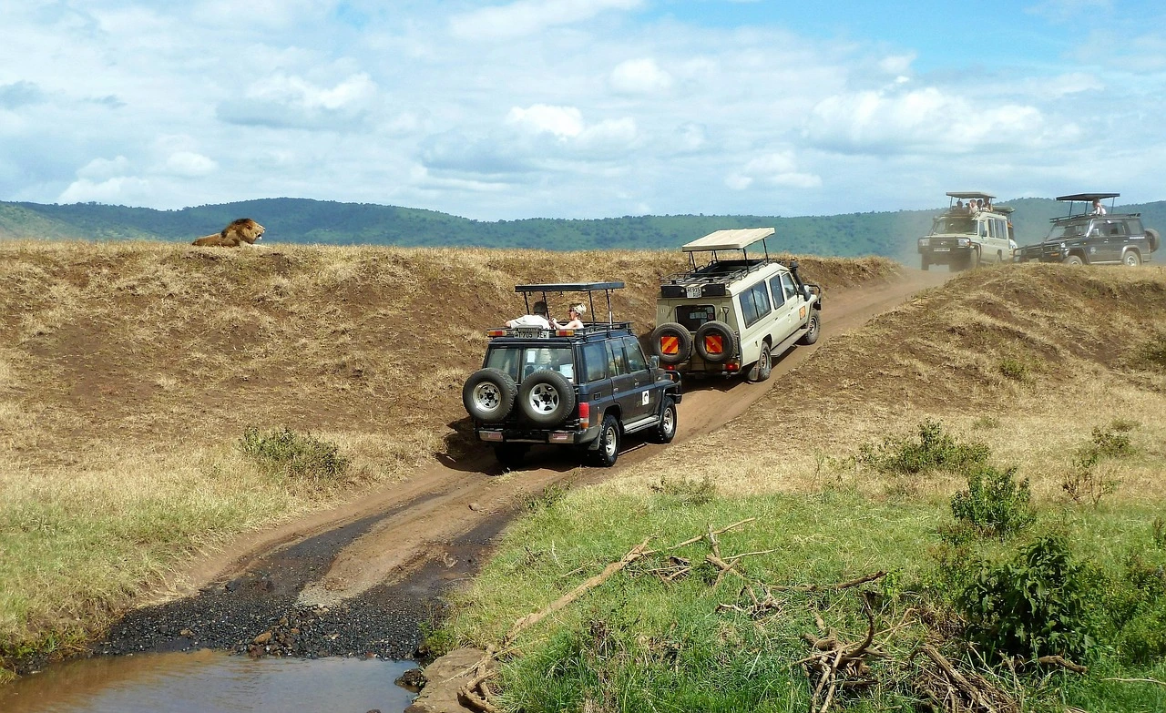 3282700-safari-1845202_1280