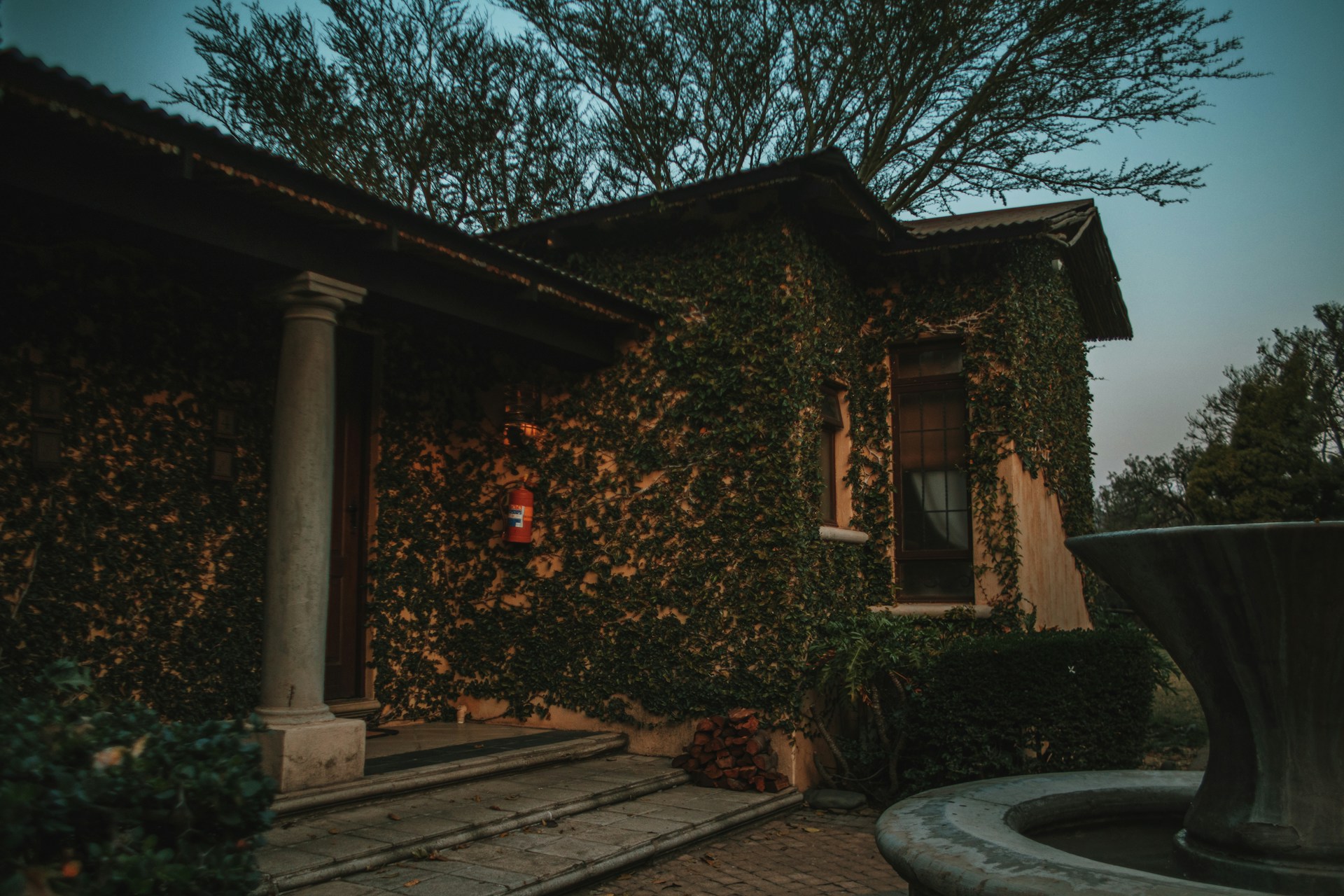 michael-ali-G_ph3_F5a6g-unsplash